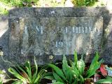 image of grave number 205853